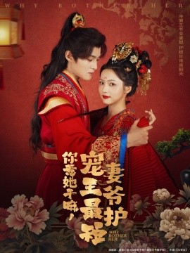 你惹她干嘛,宠妻王爷最护短