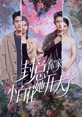 封总,你家小白花她开大了