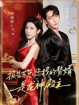 报告苏总,您找的赞婿是龙神殿主