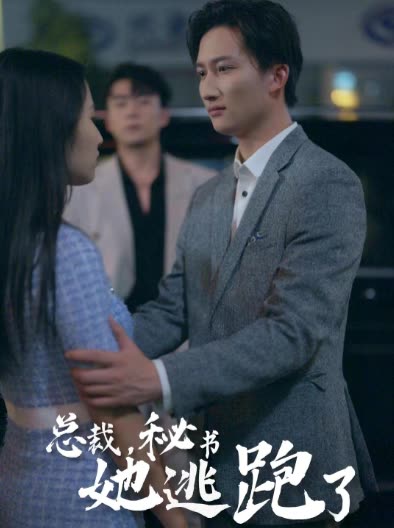 总裁,秘书她逃跑了