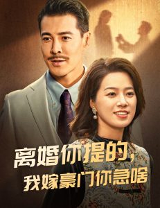 离婚你提的,我嫁豪门你急啥