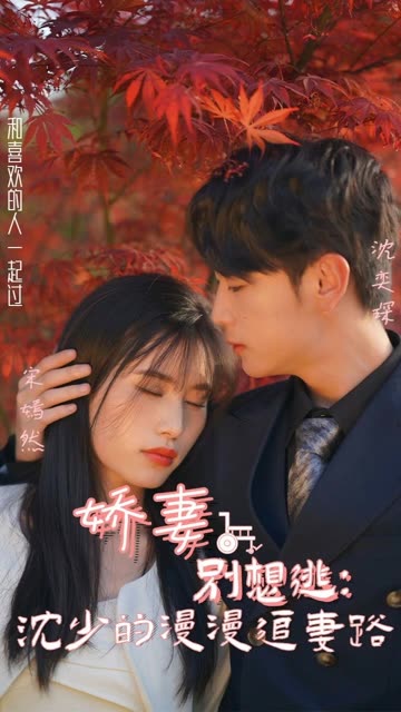 娇妻别想逃:沈少的漫漫追妻路