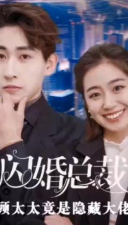 闪婚总裁,顾太太竟是隐藏大佬