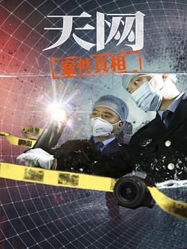天网:案件真相