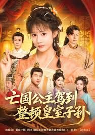 亡国公主驾到,整顿皇室子孙